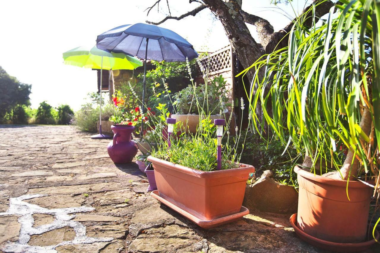 Cozy Istrian House Vendégház Izola Kültér fotó